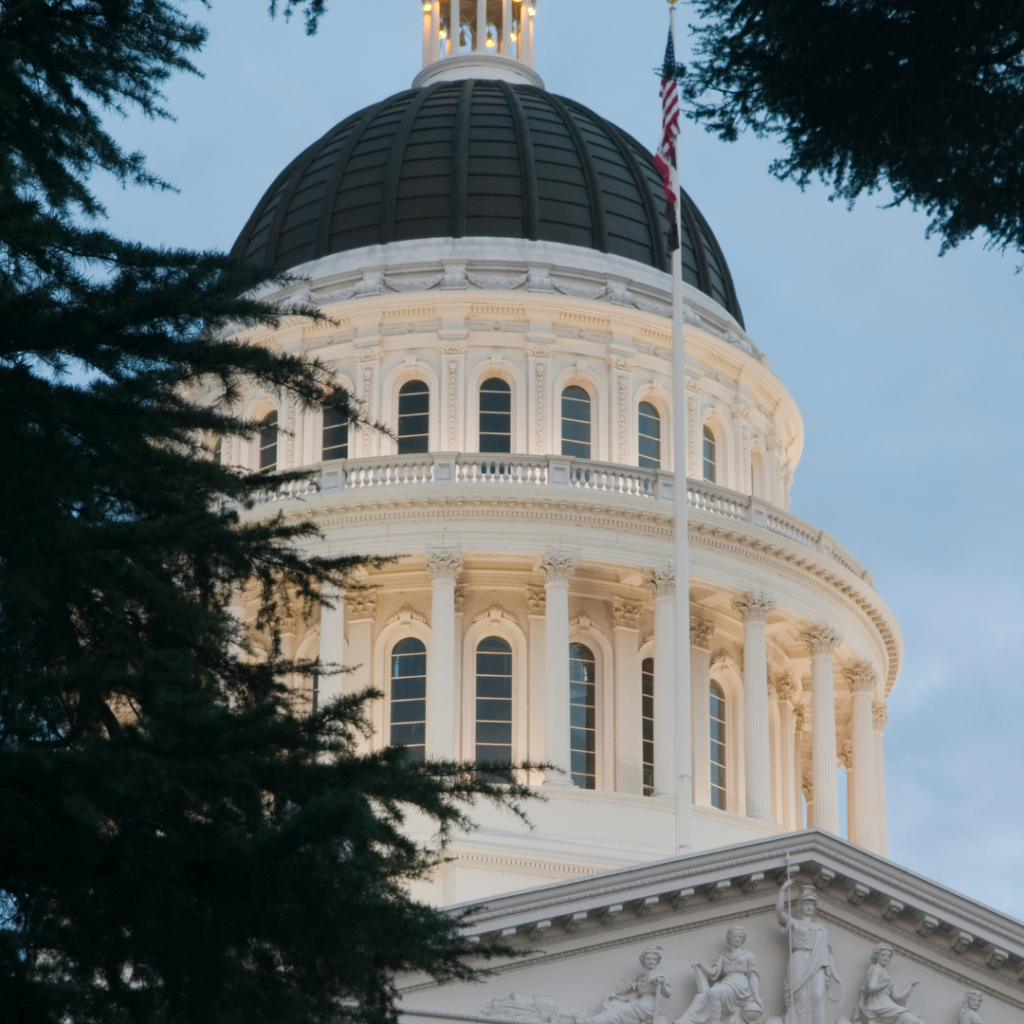 THE GREAT SIBTF CON: How One Bogus Study Set Up a Taxpayer Bailout