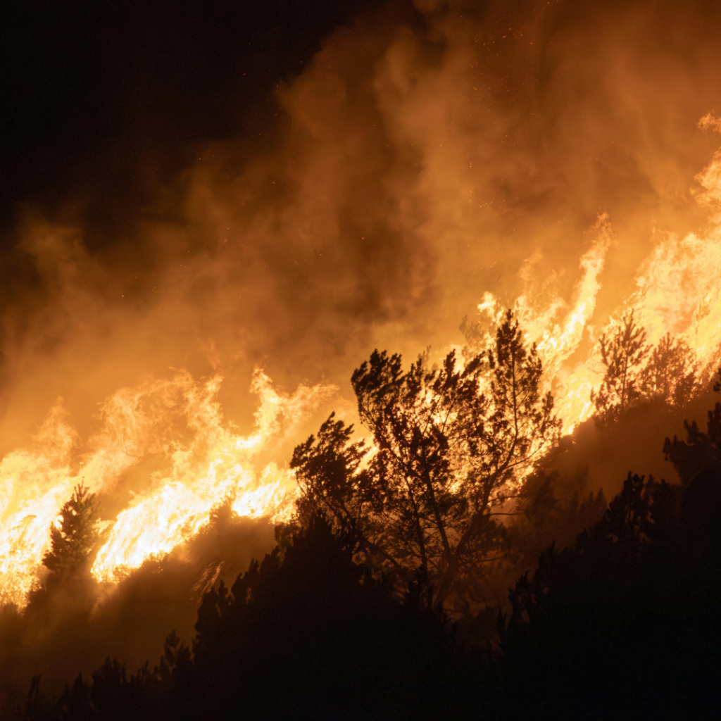 Wildfire Tax California: Local Funding Tools for Mitigation and Resilience