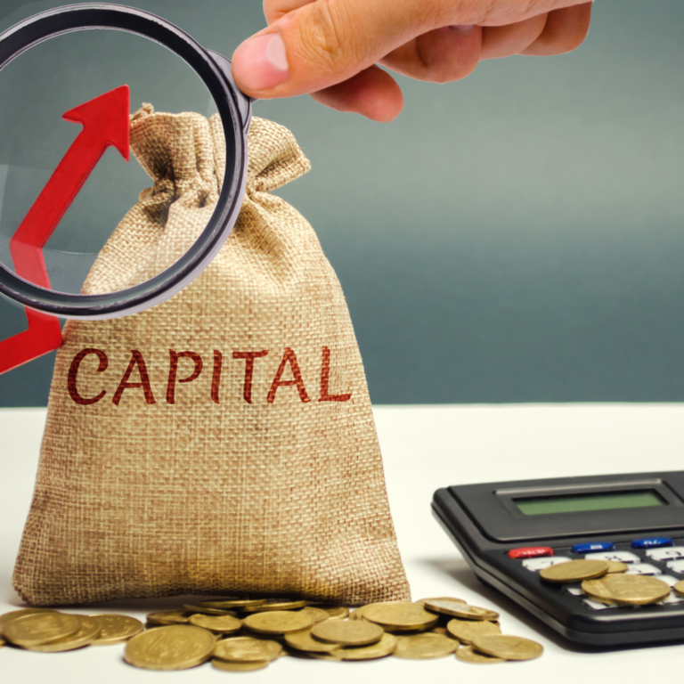 Capital Gains Revenue Dependence Raises Fiscal Concerns